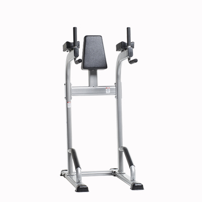 CVR-341 Vertical Knee Raise/Dip Stand