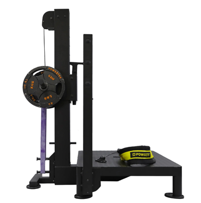 Belt Squat